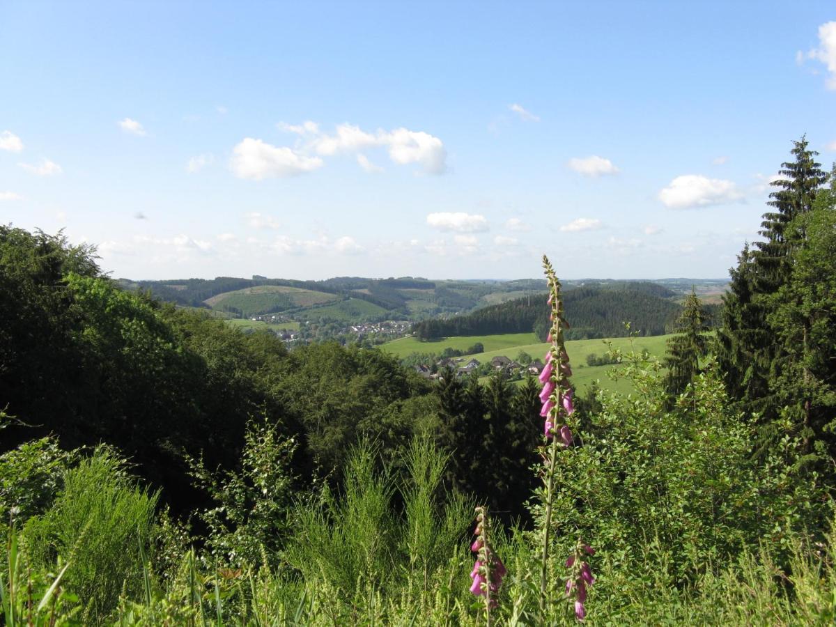 Urlaub Im Naturgarten Bergneustadt Buitenkant foto