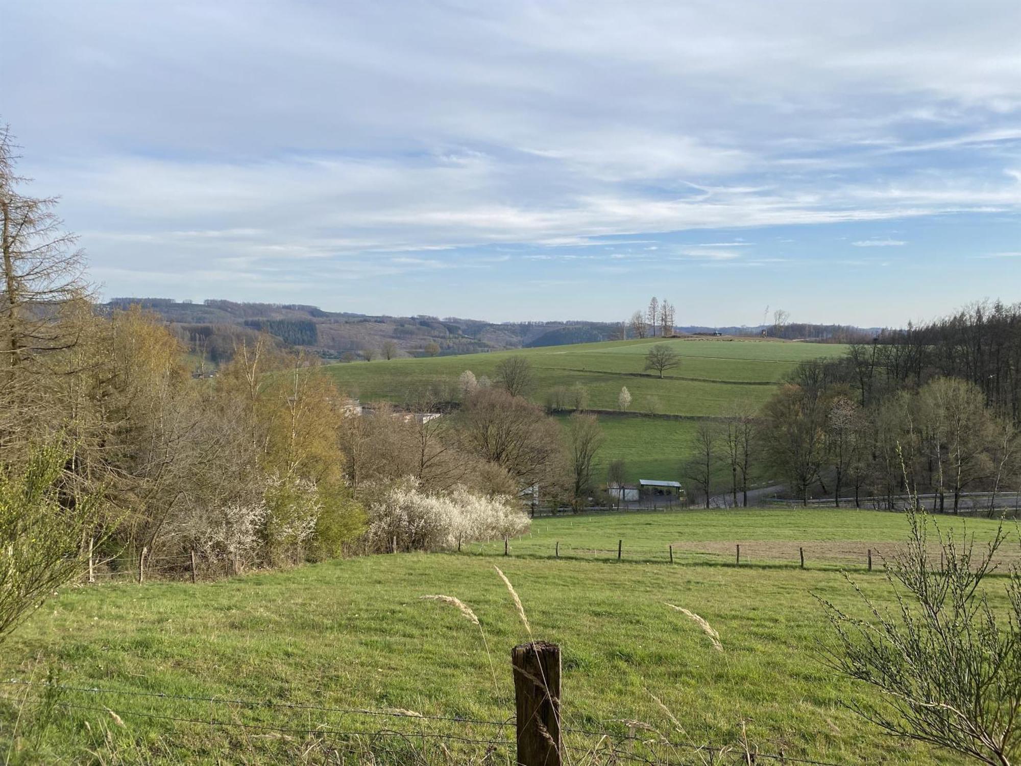 Urlaub Im Naturgarten Bergneustadt Buitenkant foto